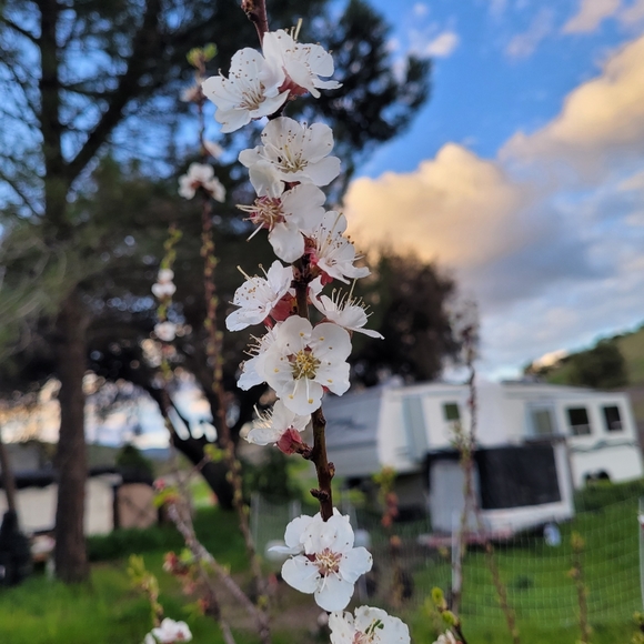 Meet your Posher, Jamie - Picture 8 of 8